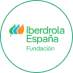 Fundacion Iberdrola Espana