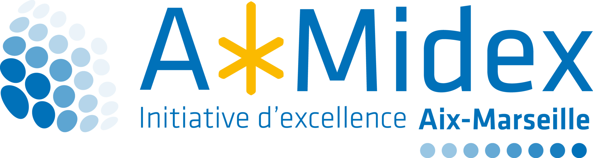 AMIDEX logo AMIDEX logo