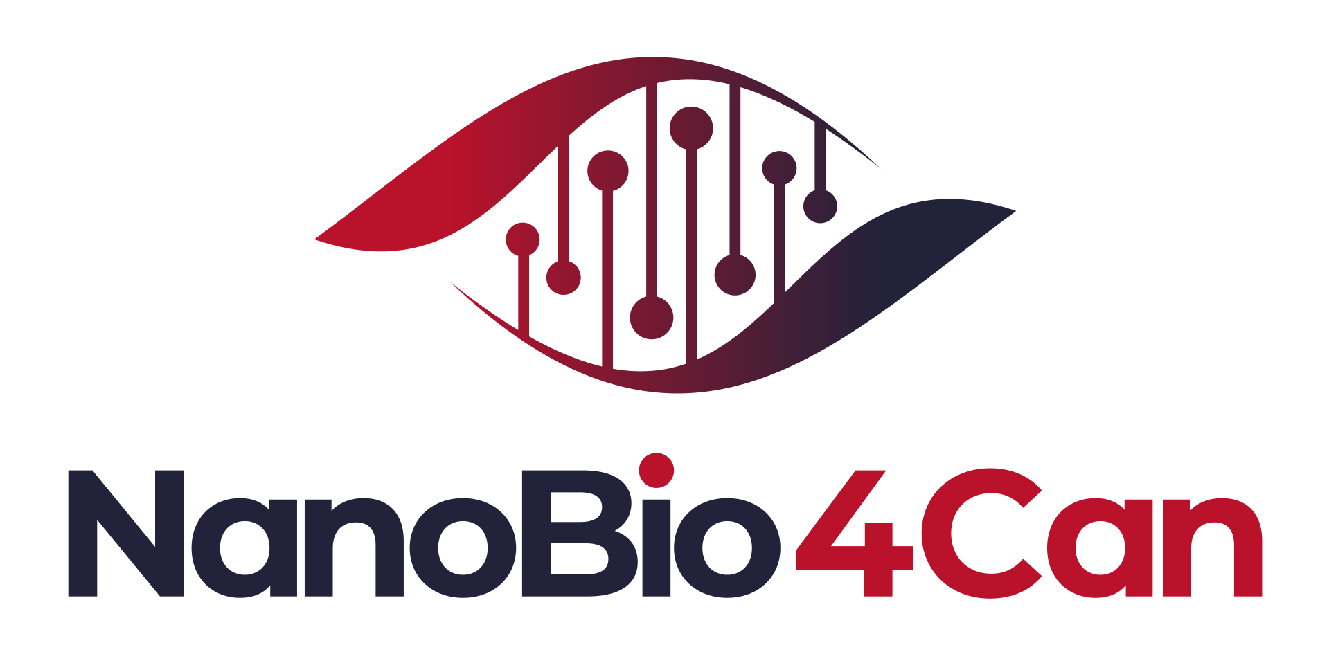 NanoBio4Can-logo