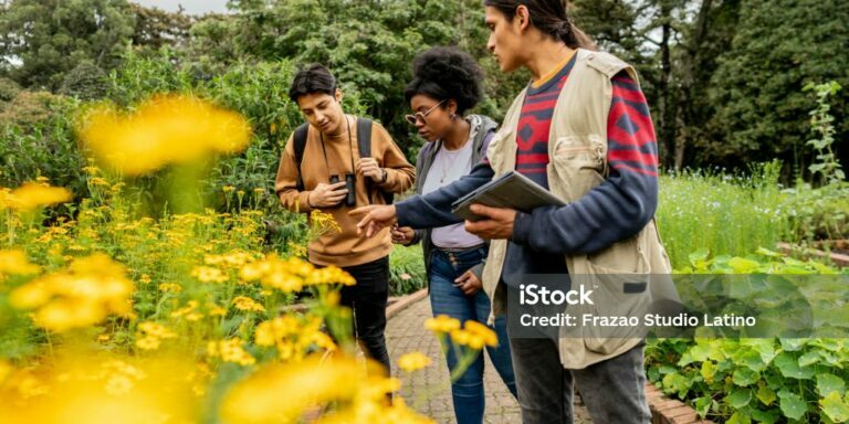 Students friends on a botanical expedition